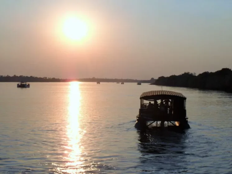 Zambezi river cruise