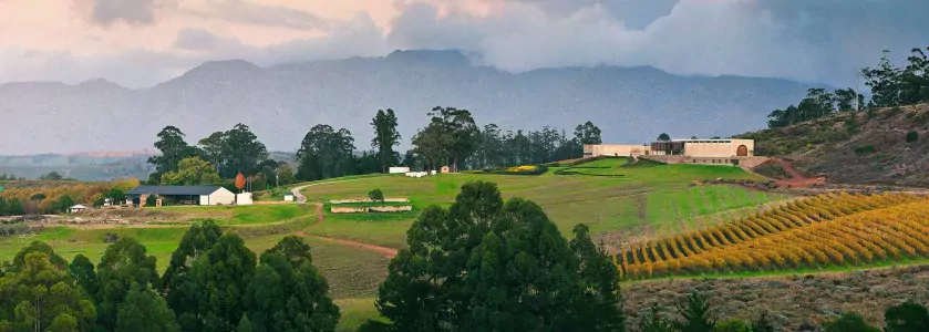 Western Cape Wine Farms