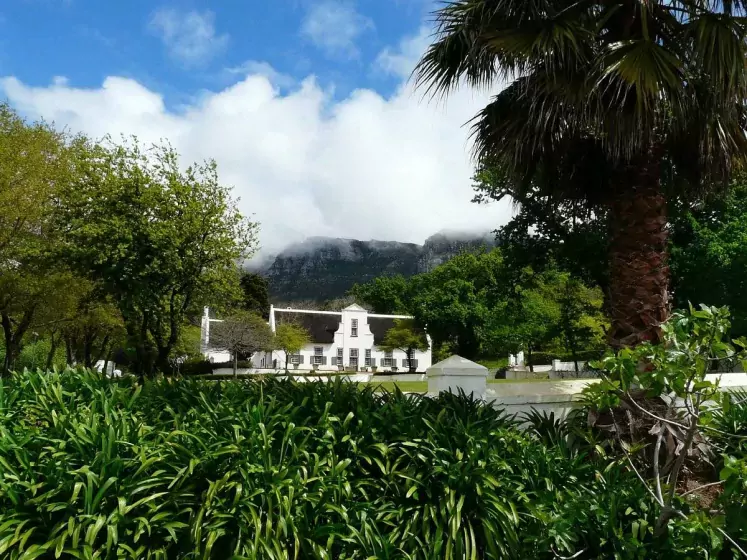 Western Cape Wine Farms