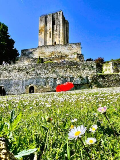 Saint Emilion Fort