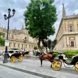 Seville Cathedral and Horses