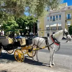 Seville Horse Drawn Cart