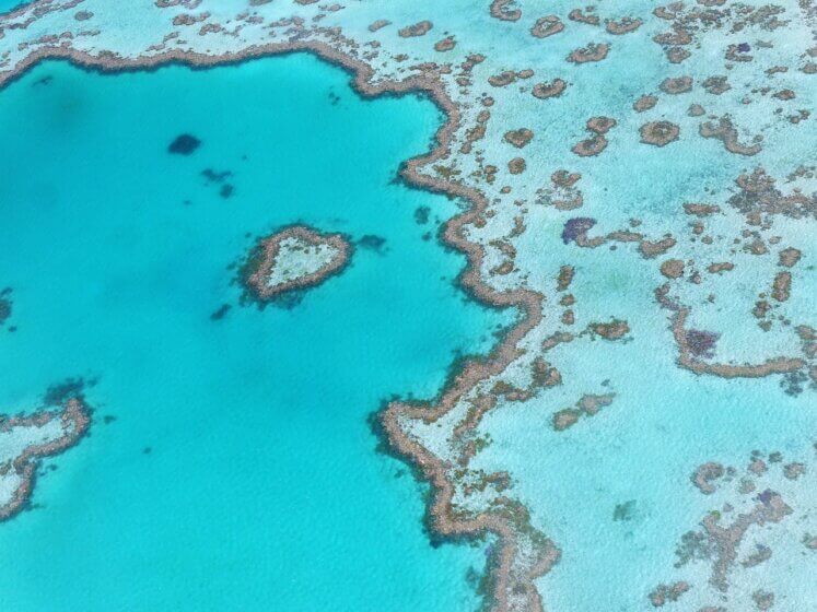 The Great Barrier Reef